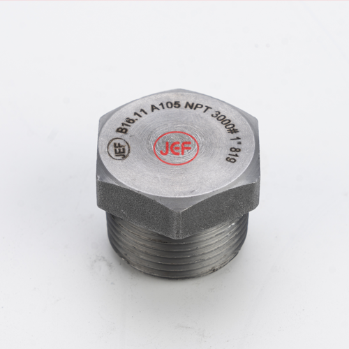 ปลั๊กอุดเกลียวสตีม 3000P (NPT) 